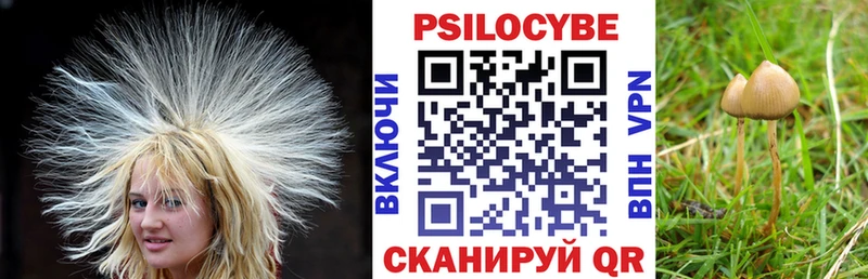 Псилоцибиновые грибы Cubensis  Абаза 