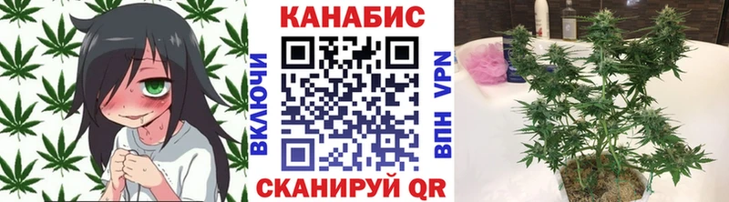 Конопля VHQ  Абаза 